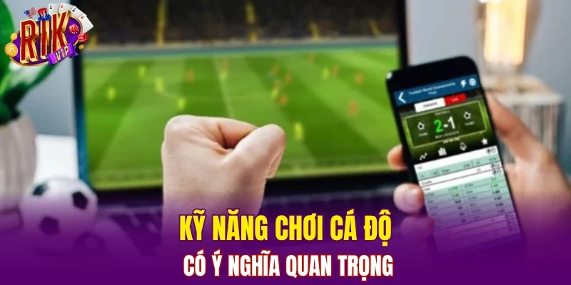 Kỹ năng chơi cá độ có ý nghĩa quan trọng