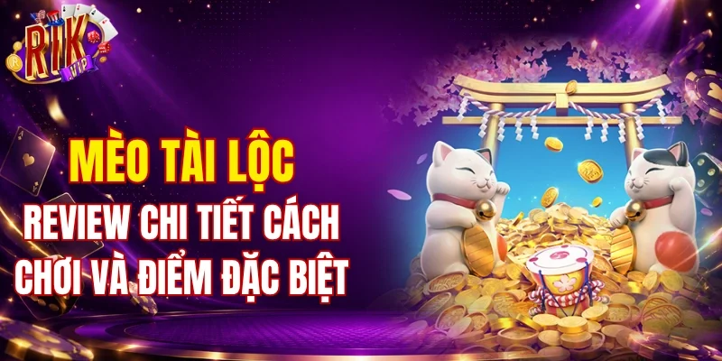Mèo Tài Lộc