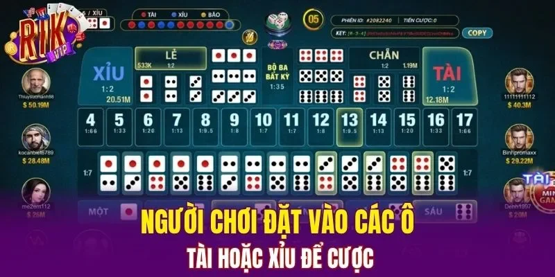 Người chơi đặt vào các ô tài hoặc xỉu để cược