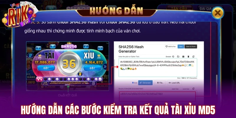 Hướng dẫn các bước kiểm tra kết quả tài xỉu bản MD5